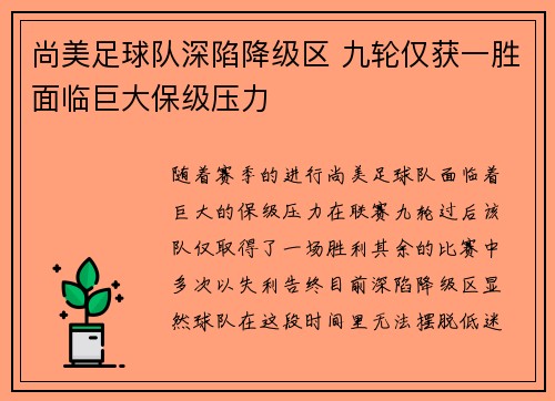 尚美足球队深陷降级区 九轮仅获一胜面临巨大保级压力