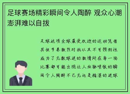 足球赛场精彩瞬间令人陶醉 观众心潮澎湃难以自拔